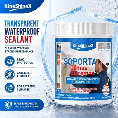 Transparent Waterproof Sealant – Flexible Polymer Emulsion Crack Filler for Roof, Walls & Tiles
